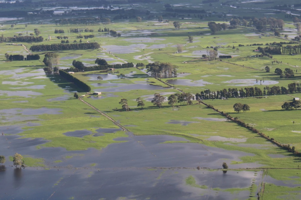 Natural hazards Natural hazards are a part of living in New Zealand. Managing our risk to these hazards is critical to ensuring safe and resilient communities. 