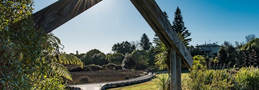 Matua Salt Marsh