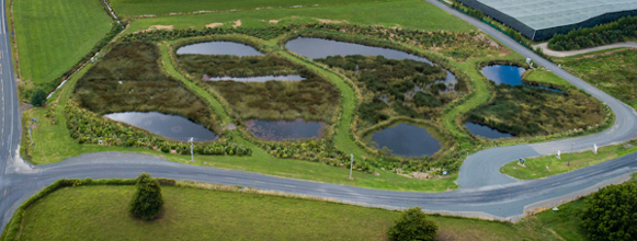 wetlands