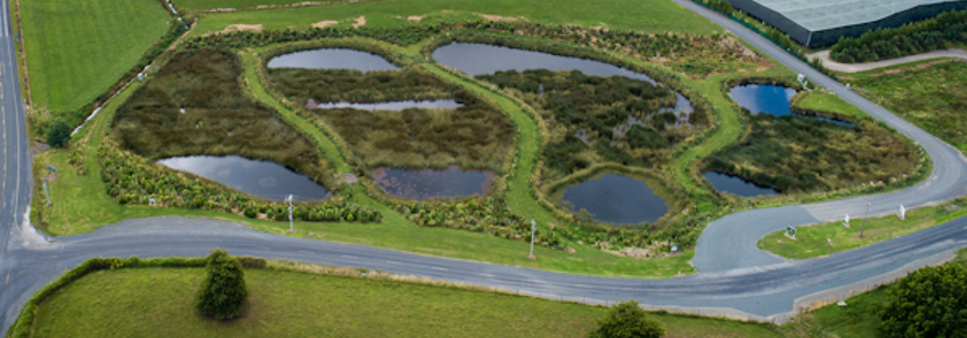 wetlands