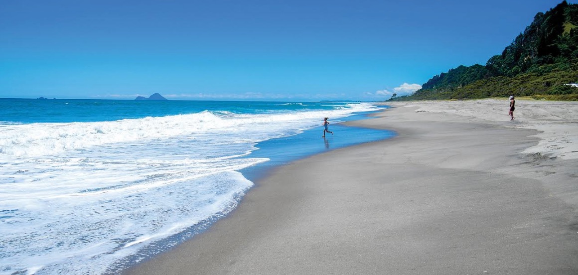 Living in the Bay Safe swimming areas We collect water samples from more than 70 sites around the Bay of Plenty weekly throughout the summer swim season.