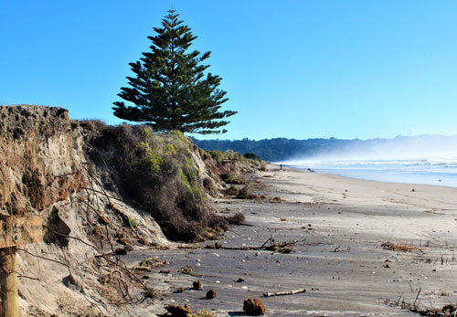 waihi beach