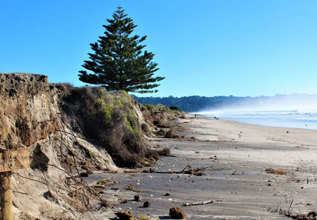 waihi beach