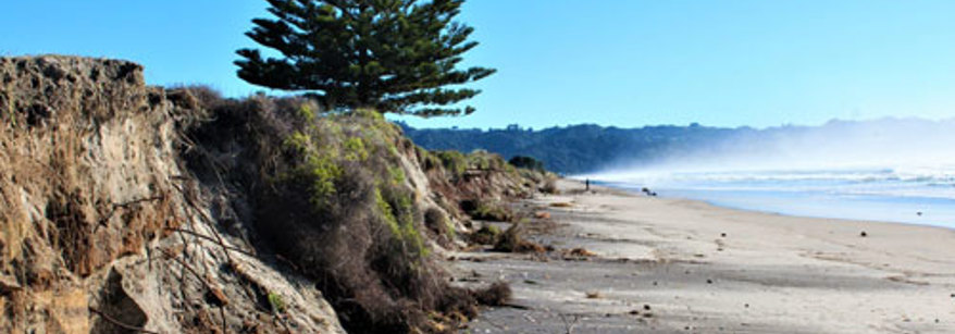 waihi beach