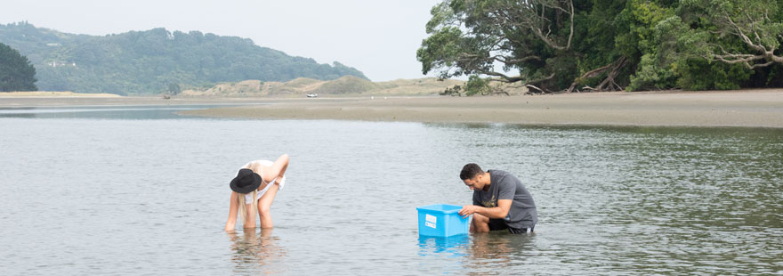 He Toka Tū Moana – Toi Moana Environmental Scholarship Applications are currently open for He Toka Tu Moana scholarships, which are designed for students who...