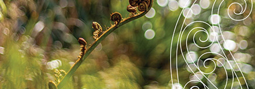 koru