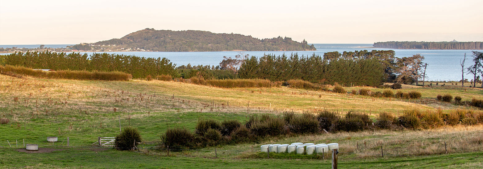 Athenree Farm