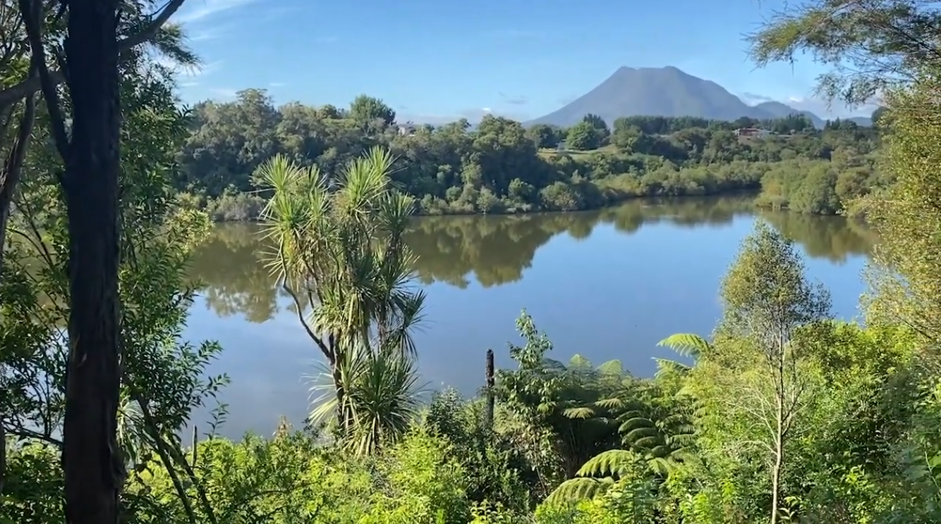 Onepu wetlands