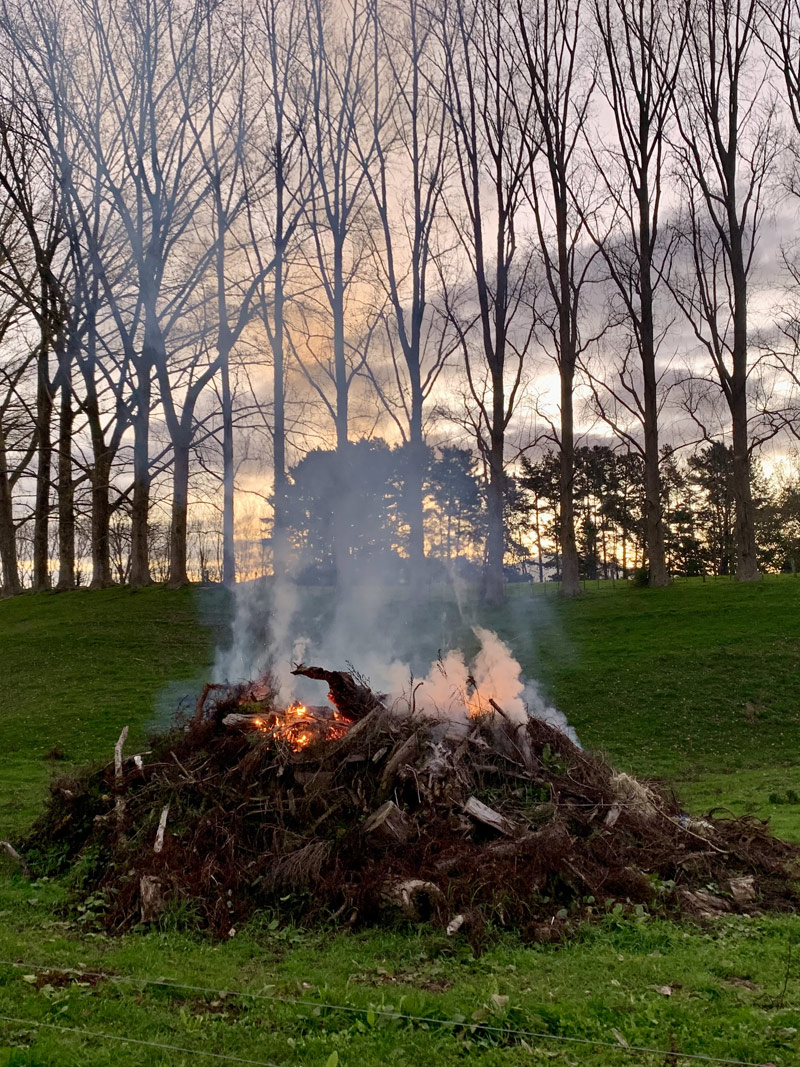 fire